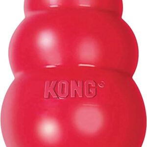 KONG Classic Chew Toy