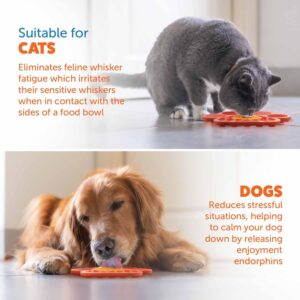 Pet Clippers Pro Set