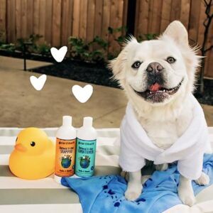 Oatmeal & Aloe Dog Shampoo