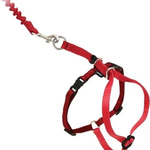 Kitty Harness & Bungee Leash – Red