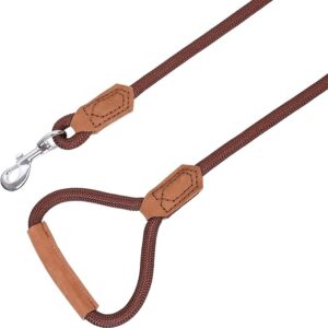Leather Dog Leash