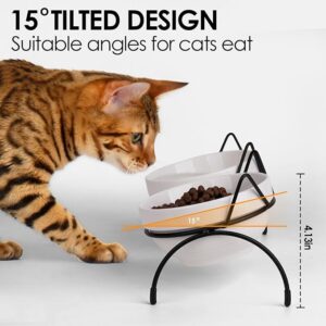 Elevated Dual Feeder