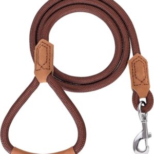 Leather Dog Leash