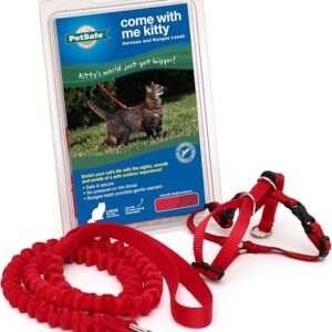 Kitty Harness & Bungee Leash – Red