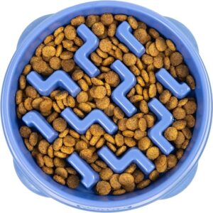 Slow Feeder Bowl