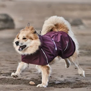 Waterproof Dog Raincoat – Eggplant