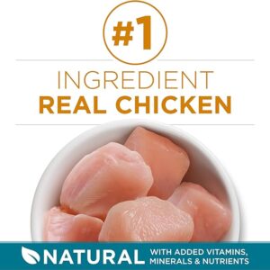 Purina ONE Natural Dry Cat Food, Tender Selects Blend With Real Chicken – 7 lb. Bag