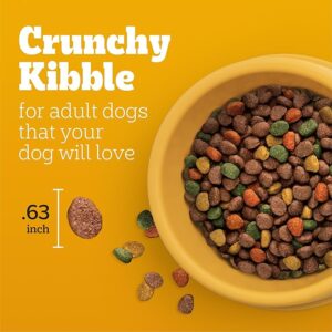 Pedigree Adult Complete Dry Dog Food Chicken & Vegetables