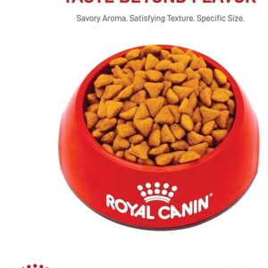 Royal Canin Indoor Cat Dry Food
